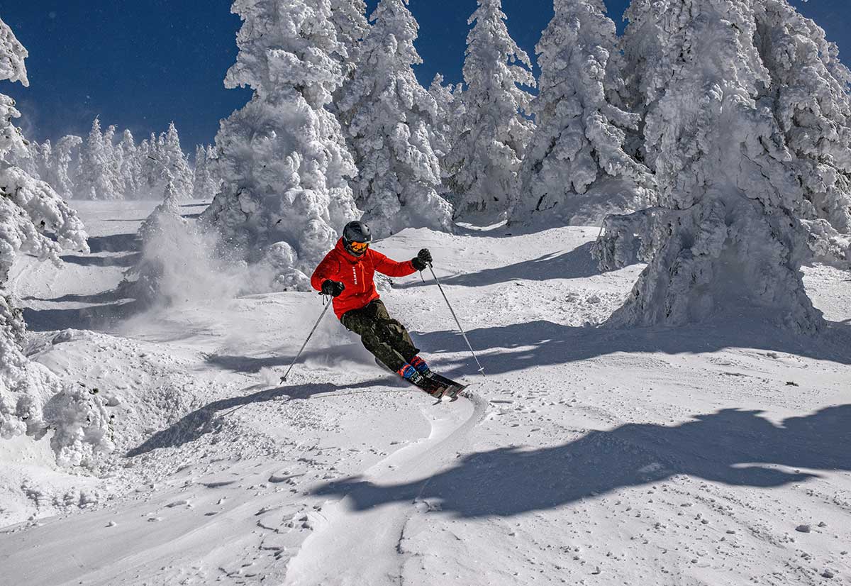 A skier makes a run through the trees at Ski Santa Fe.