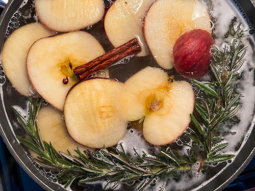 apple cinnamon simmer pot