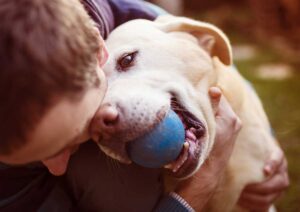 Dog with a blue ball and man at dog park.