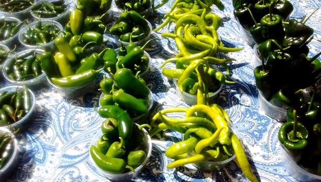 chiles