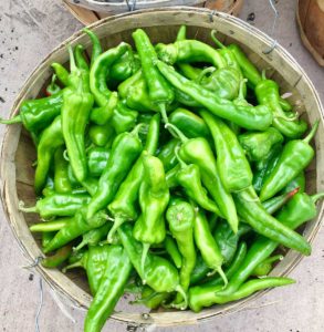 Green chile pods in a basket.