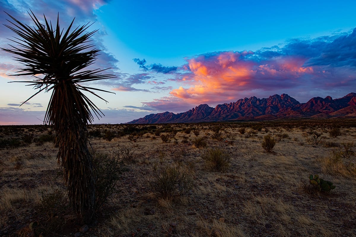 las cruces desert at sunset