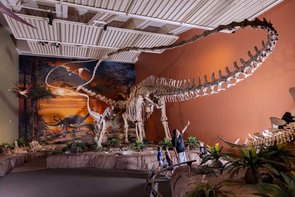 Jurassic exhibit at the New Mexico Museum of Natural History & Science. Photo by Tira Howard.