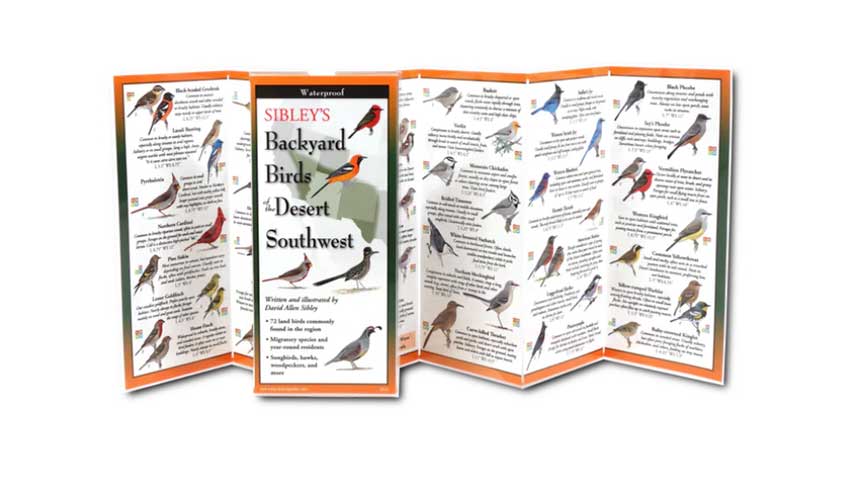 Guide to birds of the Southwest is just one item available at PLIA's online store.