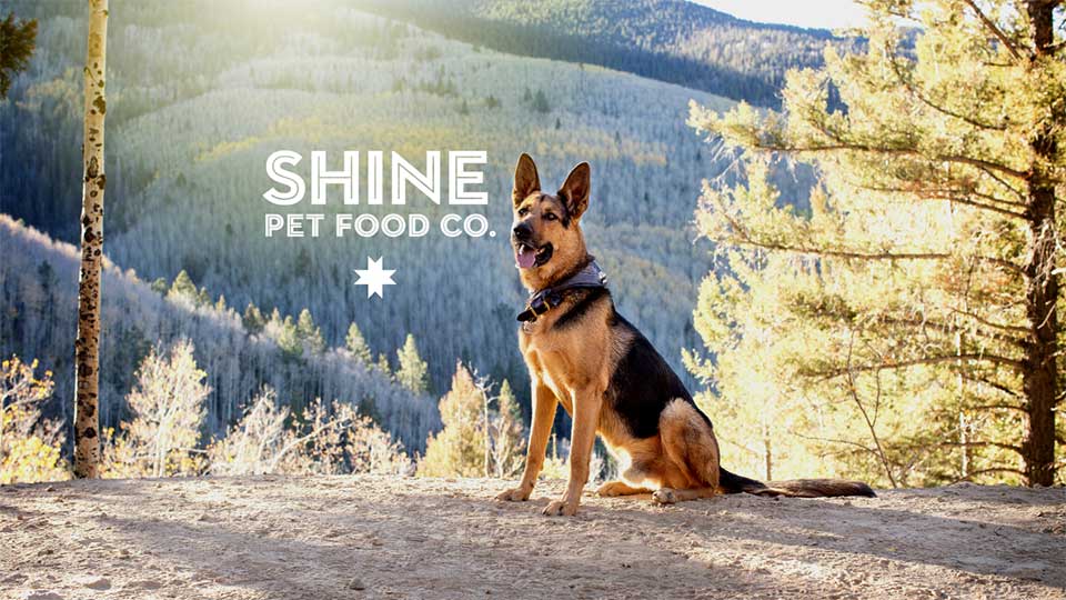 Shine Pet Food graphic