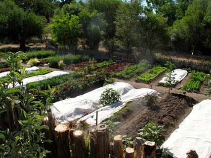 Vinaigrette Santa Fe New Mexico