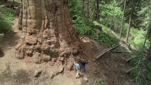 Fool's Paradise (lost?) film still courtesy of Alexandra Lexton